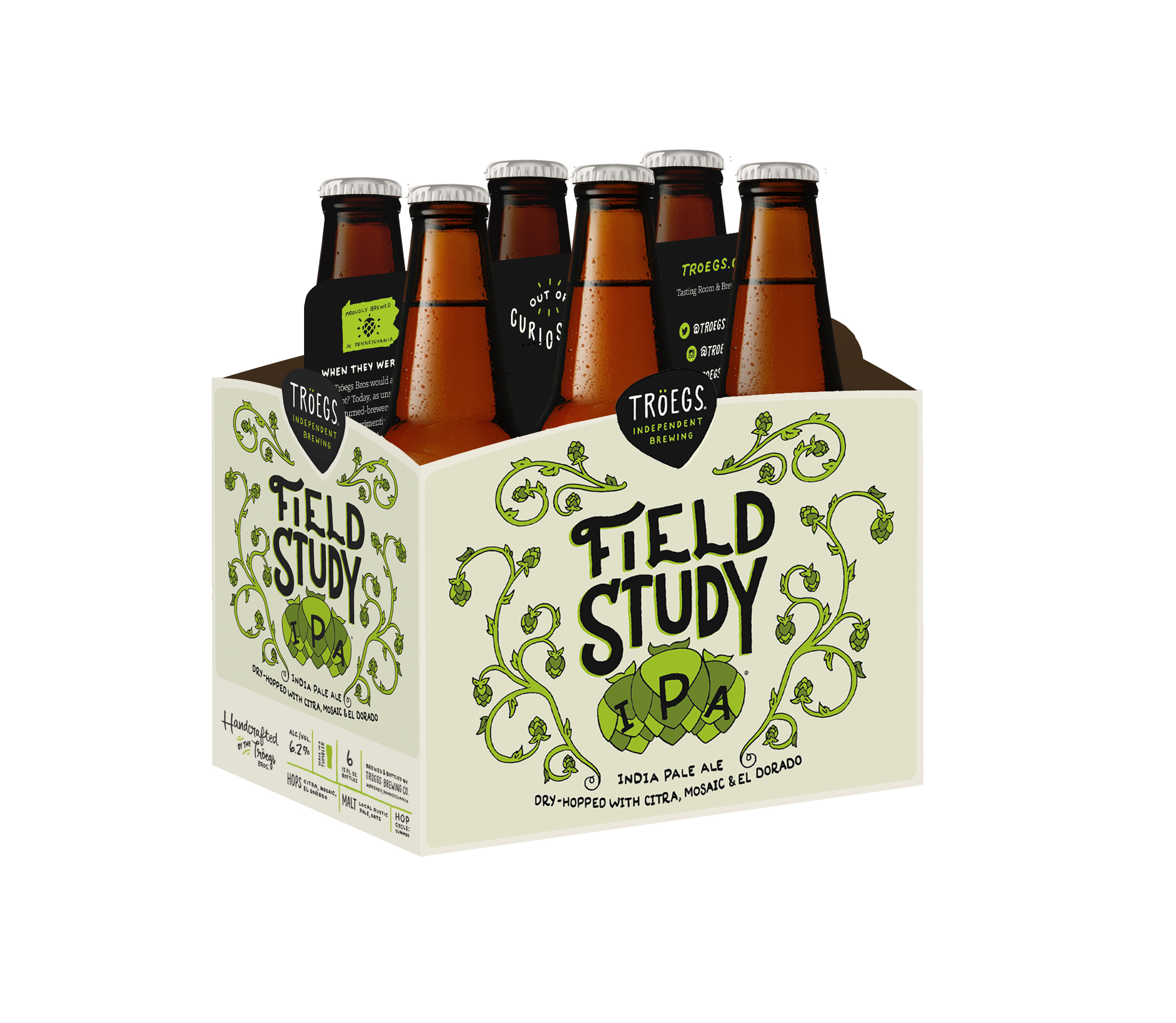 TROEGS FIELD STUDY / 12 OZ NR / 6PK Rt 19 Beer and Toro